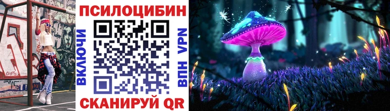 Псилоцибиновые грибы Cubensis  наркотики  Медвежьегорск 